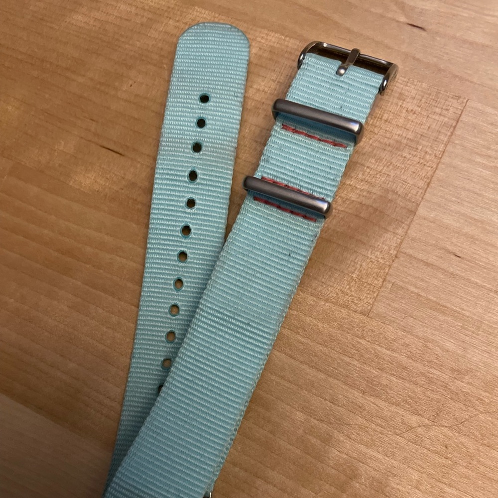 Fossil Nylon Mint Blue Watch Band 18mm